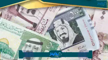 «تحديث مباشر» سعر الريال السعودي الآن في البنوك المصرية وتفاصيل تأثيره المالي